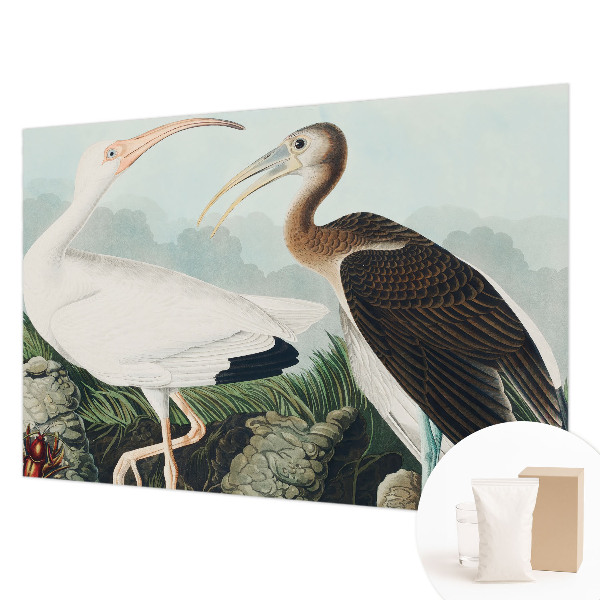 Non-woven photo wallpaper with a couple of birds