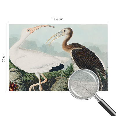 Non-woven photo wallpaper with a couple of birds
