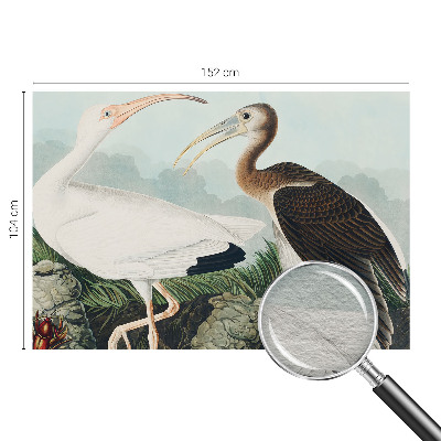 Non-woven photo wallpaper with a couple of birds