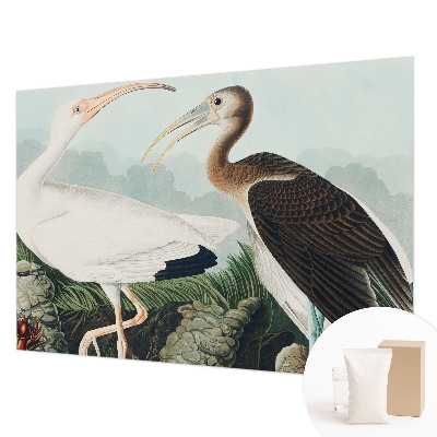 Non-woven photo wallpaper with a couple of birds