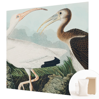 Non-woven photo wallpaper with a couple of birds