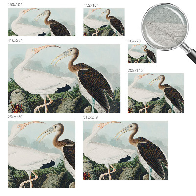Non-woven photo wallpaper with a couple of birds