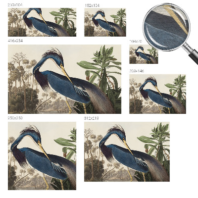 Photo wall mural featuring an exotic nature scene