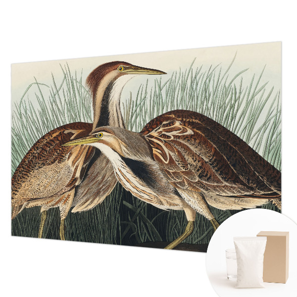 Wallpaper mural with a realistic bird motif