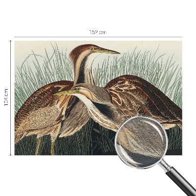 Wallpaper mural with a realistic bird motif