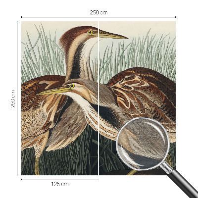 Wallpaper mural with a realistic bird motif