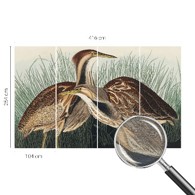 Wallpaper mural with a realistic bird motif