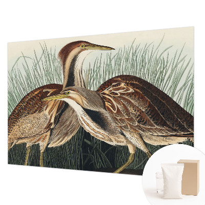 Wallpaper mural with a realistic bird motif