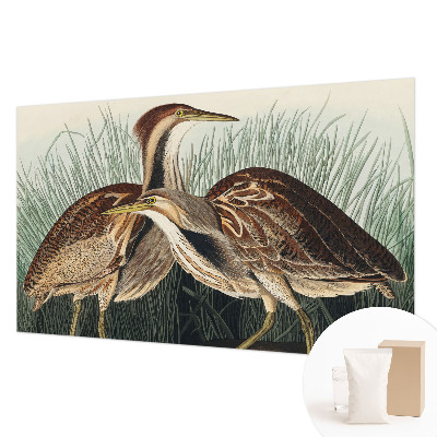 Wallpaper mural with a realistic bird motif