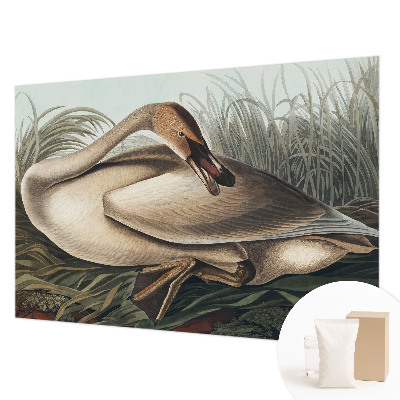 Photo wallpaper with a natural bird motif