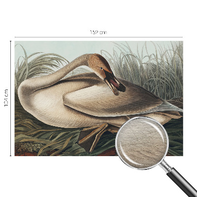 Photo wallpaper with a natural bird motif