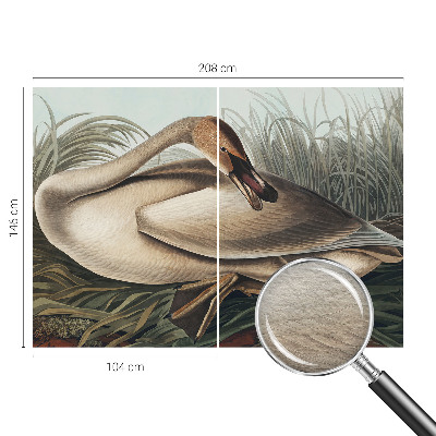 Photo wallpaper with a natural bird motif