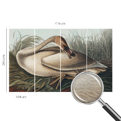 Photo wallpaper with a natural bird motif