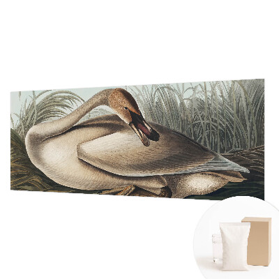 Photo wallpaper with a natural bird motif