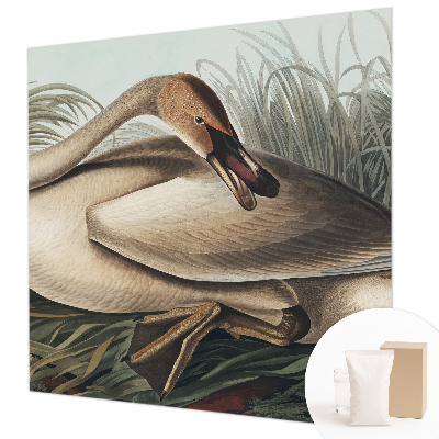 Photo wallpaper with a natural bird motif