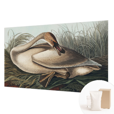 Photo wallpaper with a natural bird motif
