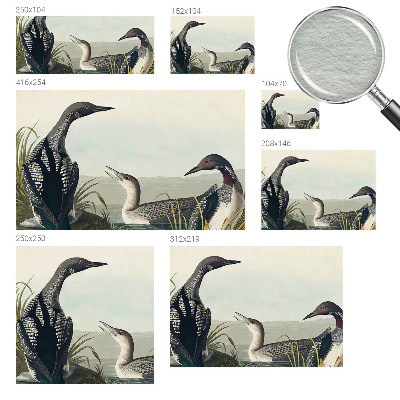 Wall mural for bedroom featuring birds flying over a water scene