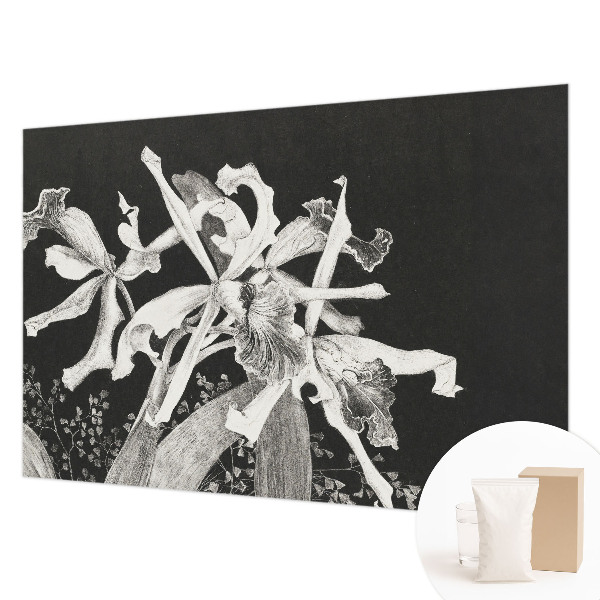 Wall mural with an orchid illustration for the living room