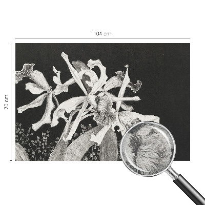 Wall mural with an orchid illustration for the living room