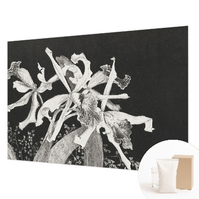 Wall mural with an orchid illustration for the living room