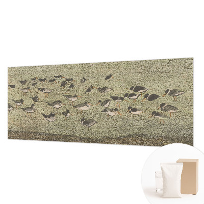 High quality photo wallpaper with a peaceful bird motif