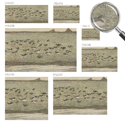 High quality photo wallpaper with a peaceful bird motif
