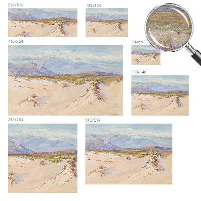 Decorative wall mural for living room with a desert landscape design