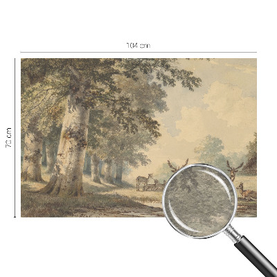 Photo wall mural with a peaceful forest scene