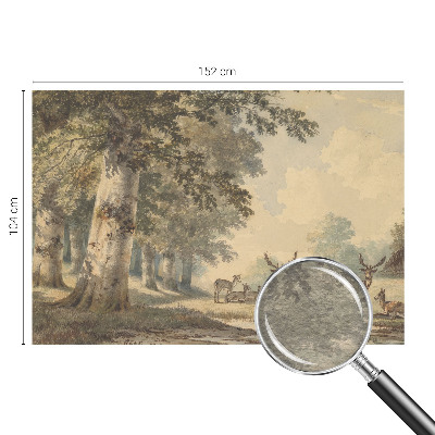 Photo wall mural with a peaceful forest scene