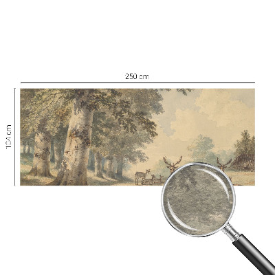 Photo wall mural with a peaceful forest scene