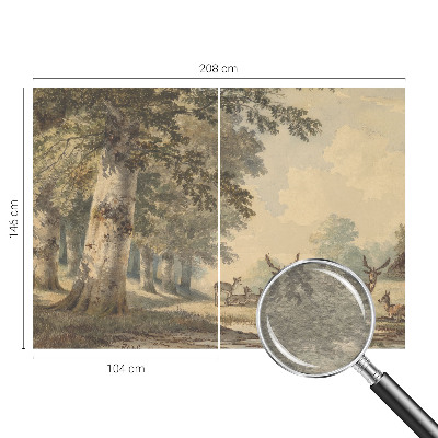 Photo wall mural with a peaceful forest scene