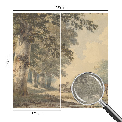 Photo wall mural with a peaceful forest scene