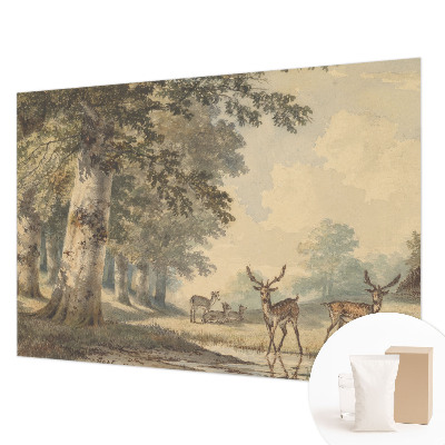 Photo wall mural with a peaceful forest scene