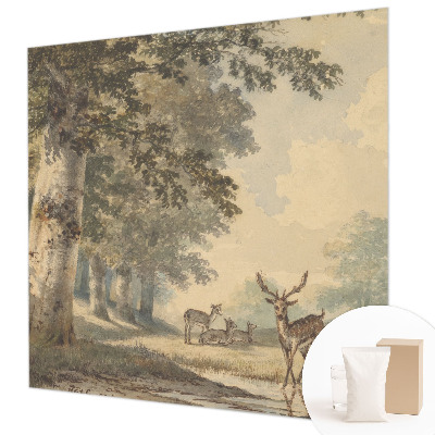 Photo wall mural with a peaceful forest scene