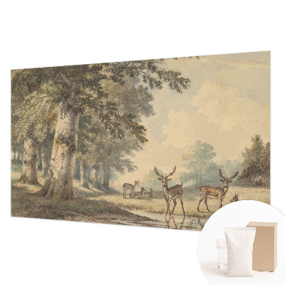 Photo wall mural with a peaceful forest scene
