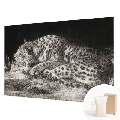 Photo wall mural featuring a resting leopard