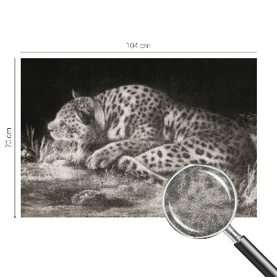 Photo wall mural featuring a resting leopard