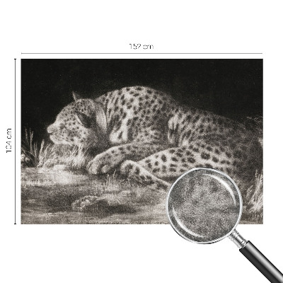 Photo wall mural featuring a resting leopard