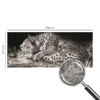 Photo wall mural featuring a resting leopard