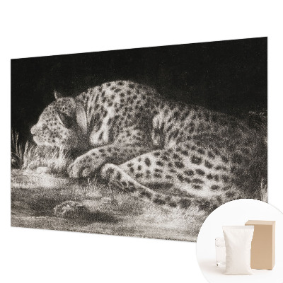 Photo wall mural featuring a resting leopard