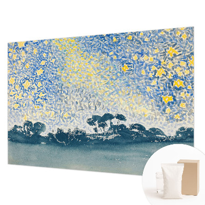 Wallpaper mural for living room with an abstract star design