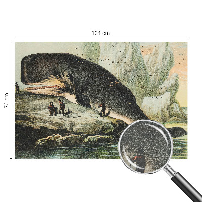 Bedroom wall mural wallpaper featuring an oversized sea creature design