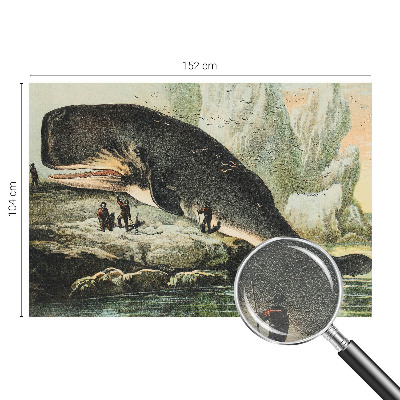 Bedroom wall mural wallpaper featuring an oversized sea creature design