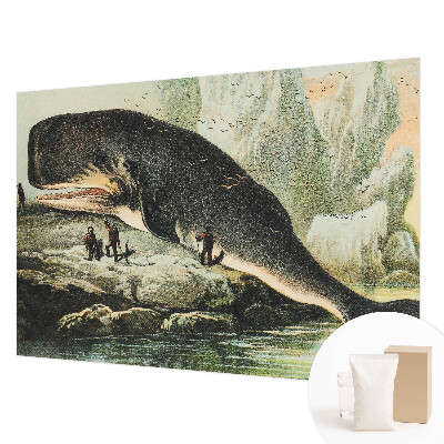 Bedroom wall mural wallpaper featuring an oversized sea creature design