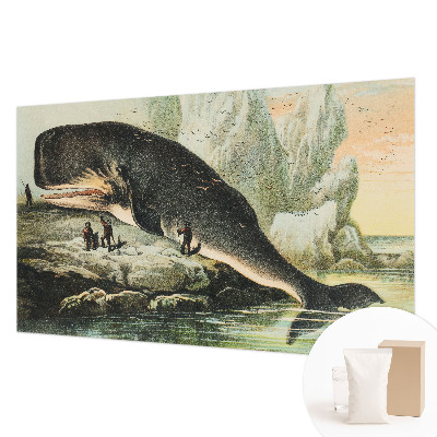 Bedroom wall mural wallpaper featuring an oversized sea creature design