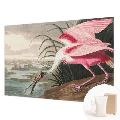 Modern wall mural for bedroom featuring an exotic bird design