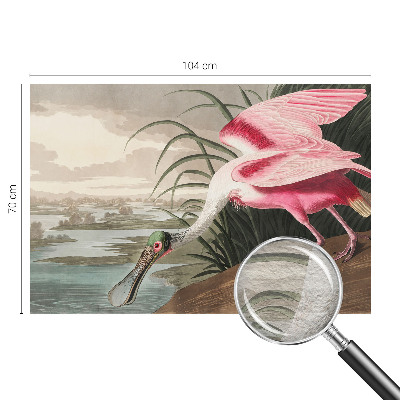 Modern wall mural for bedroom featuring an exotic bird design