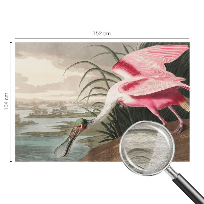 Modern wall mural for bedroom featuring an exotic bird design