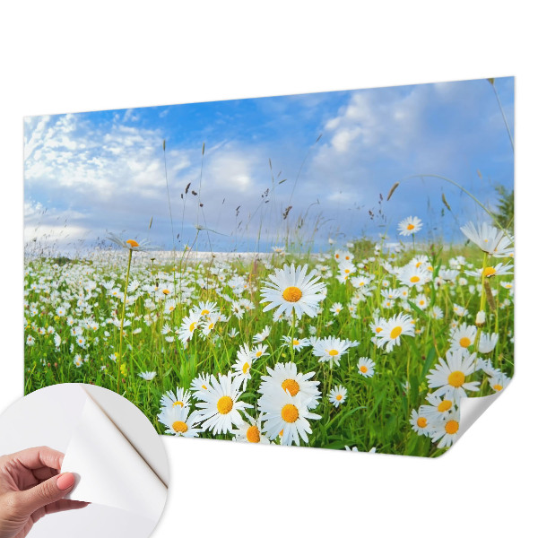 Peel and stick wallpaper mural Summer meadow
