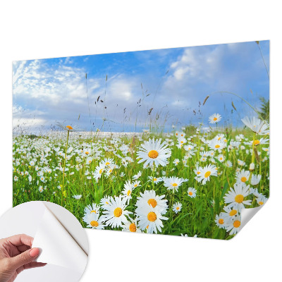Peel and stick wallpaper mural Summer meadow